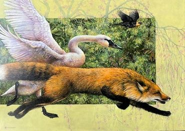 running fox, fox painting, Wendy Vaughan,  Wendy Vaughan artist,  swan, running swan