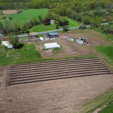 Farm, CBD, Cannabis, Agriculture, Upstate, New York, Hudson Valley, Medusa