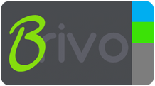 Brivo Synaptics
