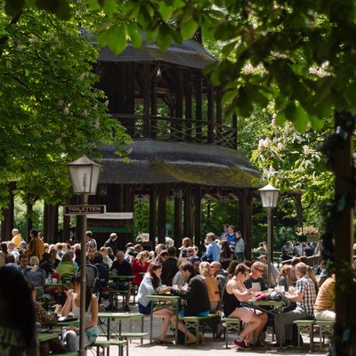 Photo by Sarah Donovan on Unsplash