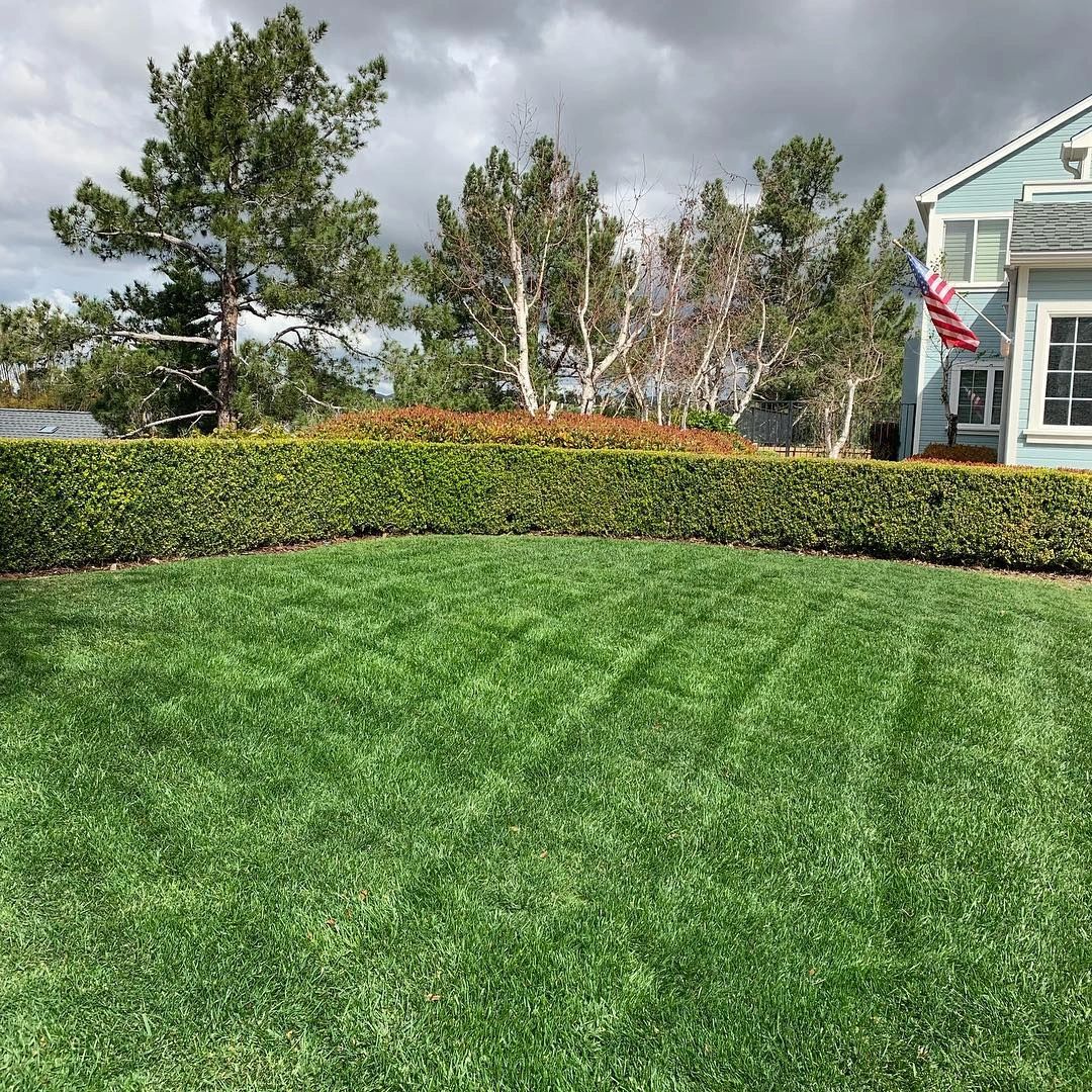 Grass cut gardener mowing lawn