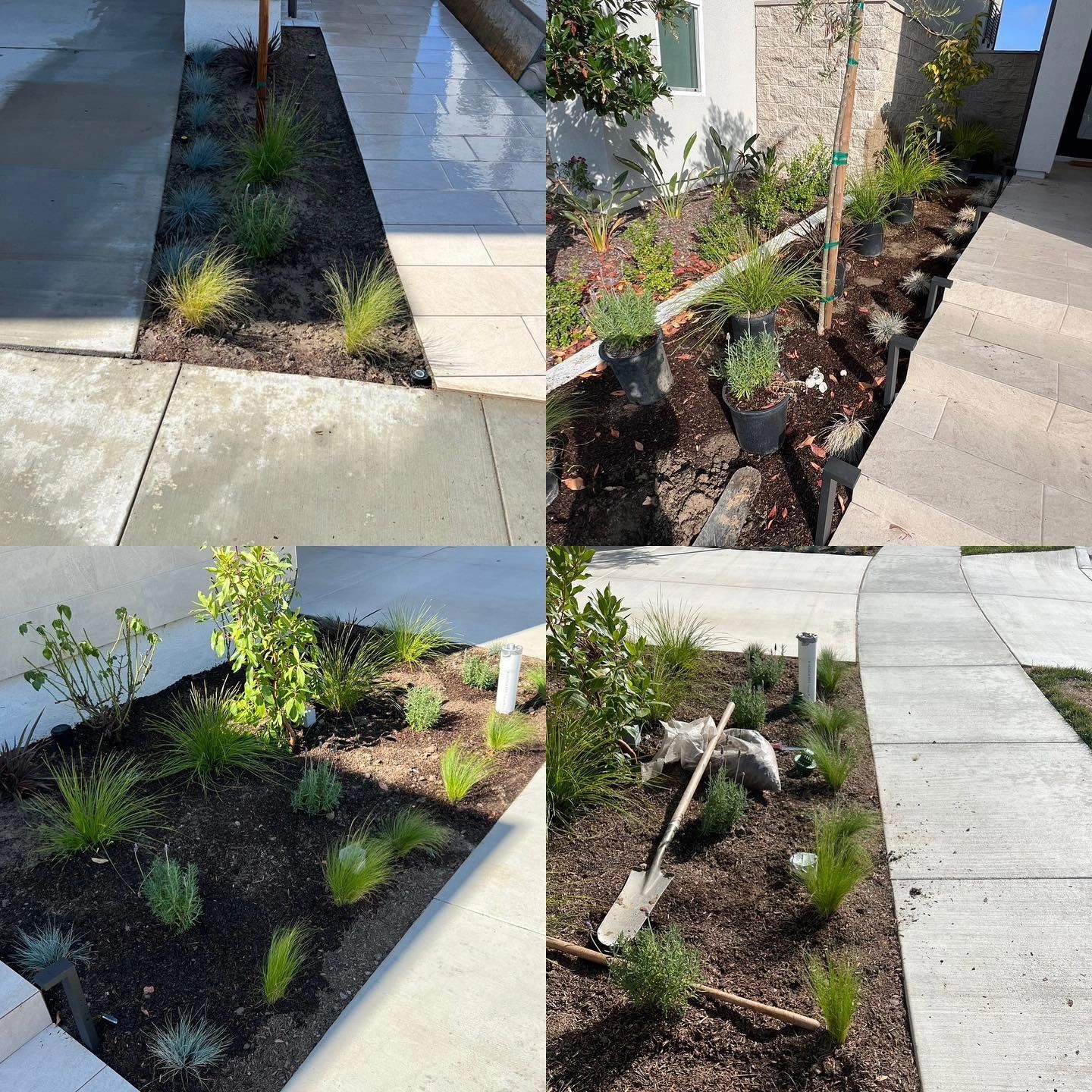 Planting, Drain, Lighting, and irrigation installed