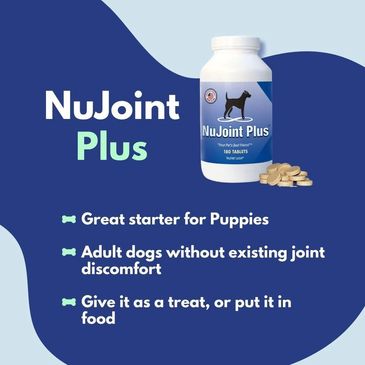 human grade vitamins for dogs to support their joints, rebuild cartilage after a break or facture