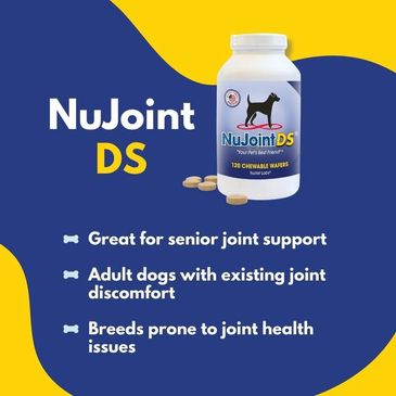 human grade joint support for senior dogs with existing joint discomfort or breeds prone to joint