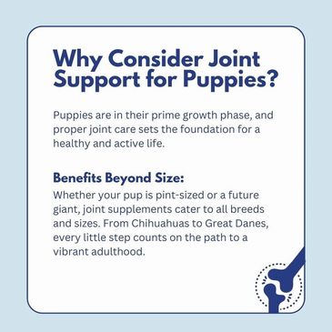 protect your puppies from the start build on a solid foundation to extend their health and longevity