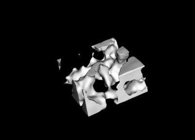 Micro-CT scan of bone structure
