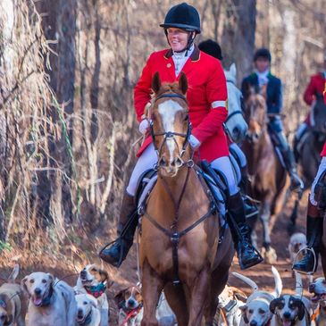 Photo Credit: Allison Howell