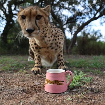 A cheetah near a pink mug with a cheetah print outdoors.