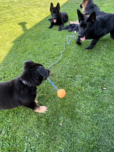 Sabrina's first day home!