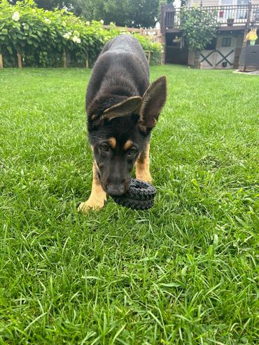 Sabrina playing with her tire
