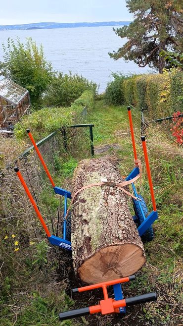 A log trolley with a large log on it at the top of a hill