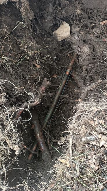 Roots have caused a pipe to crack causing a water leak