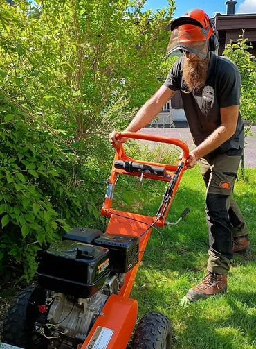 Arborist using a small stump grinder