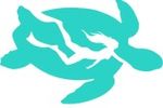 Crystal Clear Vieques Snorkel Tours