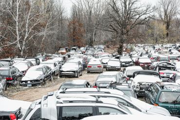 many cars parked in forest with trees