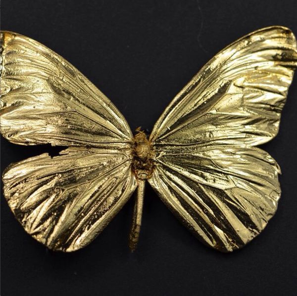 24 carat gold plated real butterfly. The fine structures are still visible.