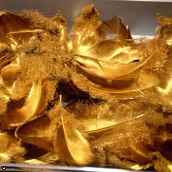 24 carat gold plated genuine goose feathers where the structure is completely preserved and of cours