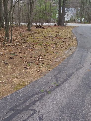 Spring cleanup services in Bedford, NH. We remove leaves, sticks and pine cones,