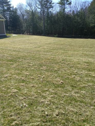 Lawn de-thatching service in Bedford NH