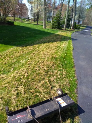 Bedford, NH lawn dethatching services