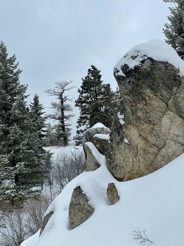 Whoop em up, snow on the ground in Idaho. Photo credit: David Foster