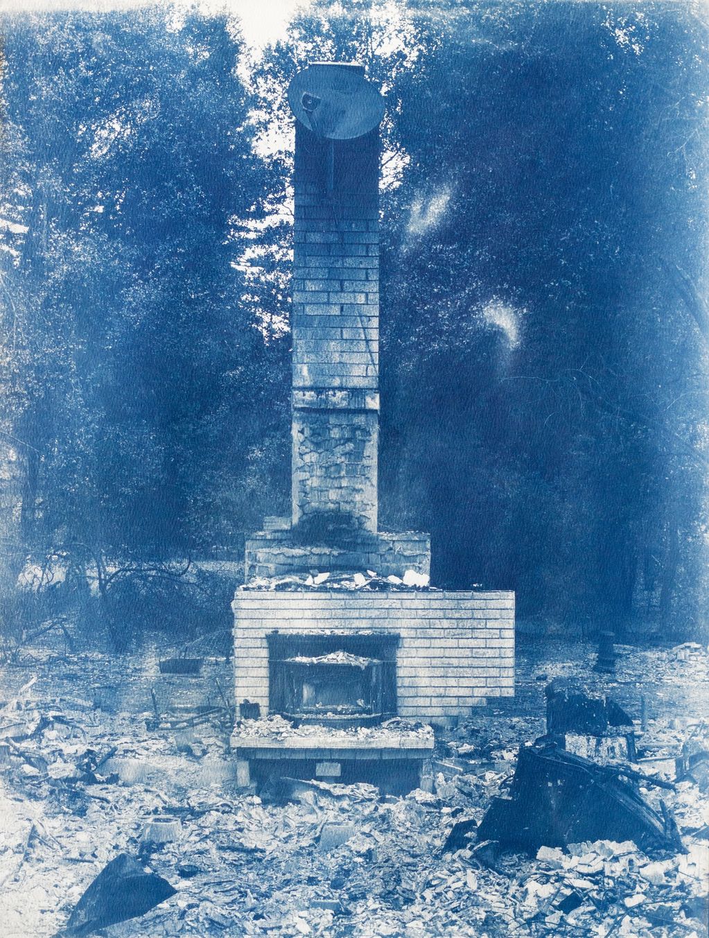 Charred remains of a brick fireplace standing amid rubble in a forest.