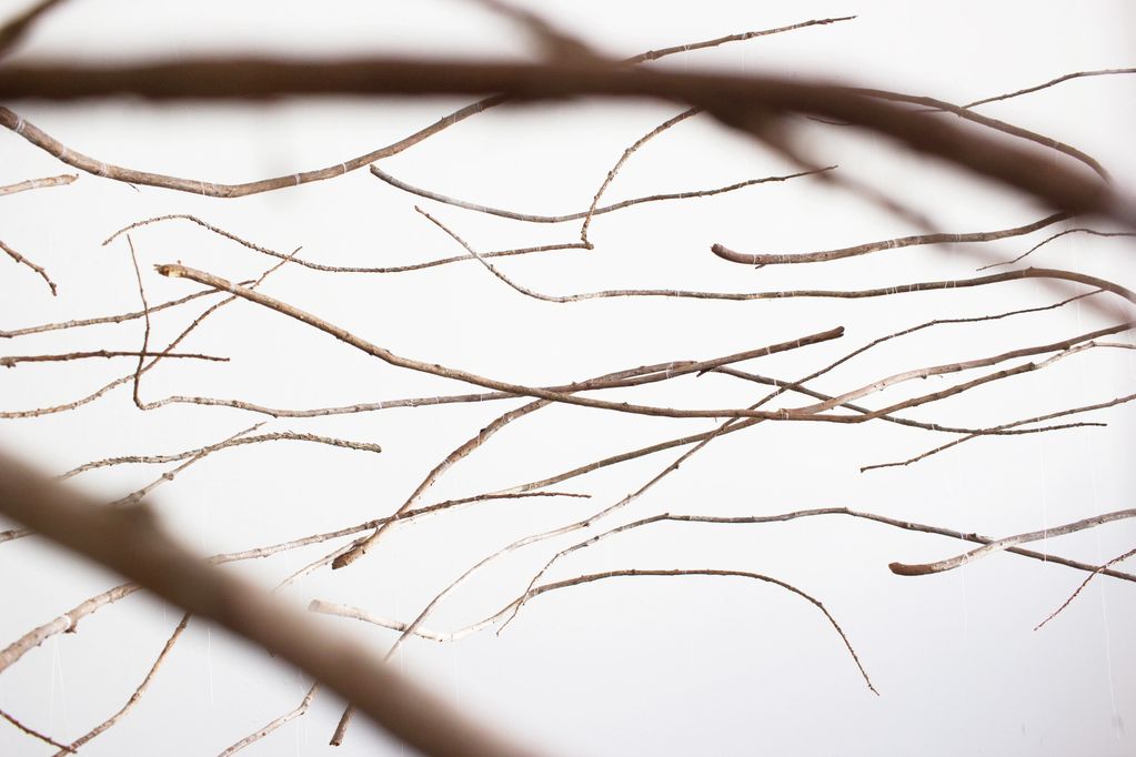 Detail
Redwood Branches, Thread
52.5” x 38” x 50”