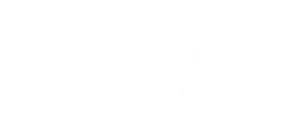 Magustech Consulting