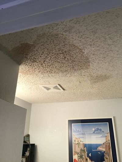 Picture of a residence ceiling. You can clearly see water spots and water damage it has created. 