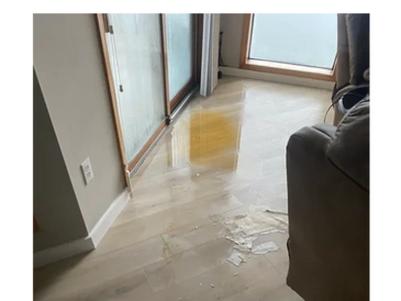Picture of a storm door failure and water all over the floor in a puddle. 