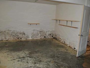 Picture of a basement room. Possible mold all over the concrete floor and possible mold up the walls