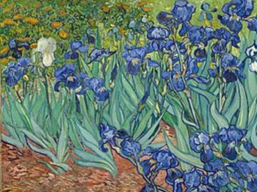 Irises by Vincent van Gogh