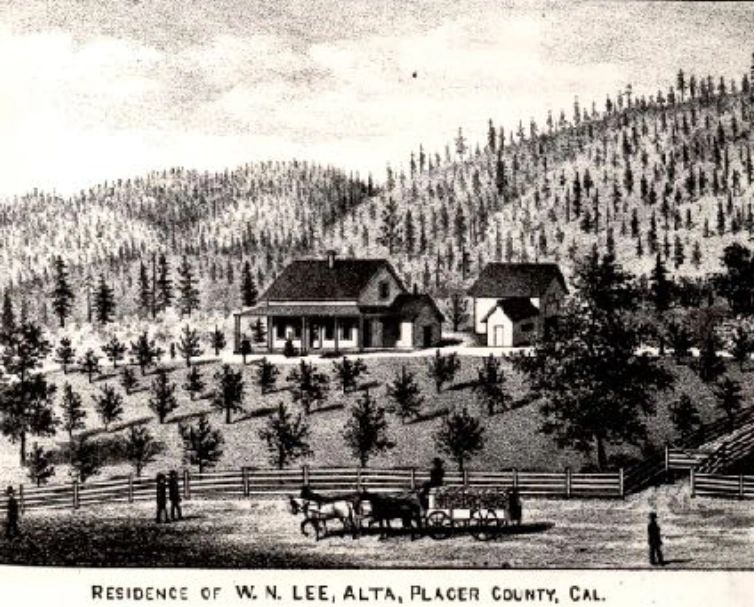 image1