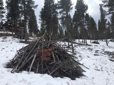 Burn piles prepped for burning while there is snow on the ground