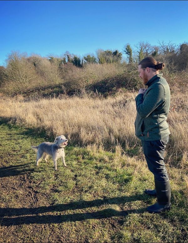 Lamorbey Dog Training, training lurcher, retrieval, wait, recall