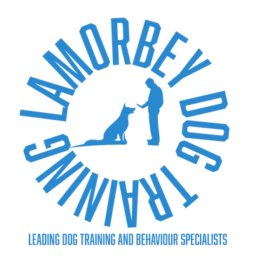 lamorbey dog training logo, lamorbey blue, dog trainer