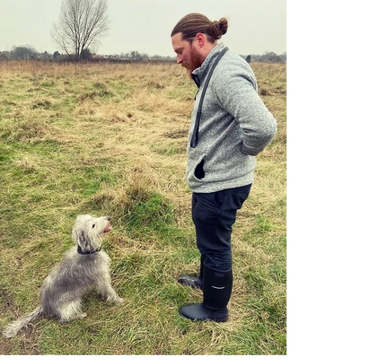 Stephen Lamorbey Dog Training with Lurcher in sit looking at the dog trainer