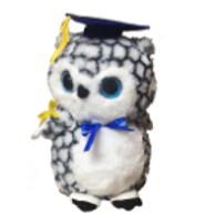 Graduation novelty items, memorabilia, commencement gifts, graduation gifts