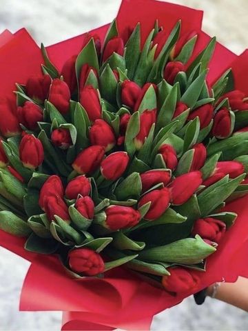 Red tulip bouquet