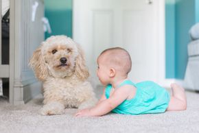 Pet and kids friendly carpet cleaning. Eco friendly carpet cleaning