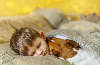 The Advantage of Wool