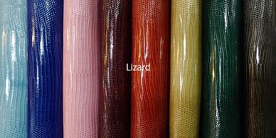 Lizard leather example