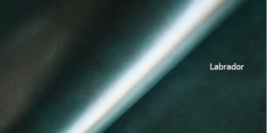 Labrador leather example