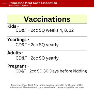 CDT vaccinations for goats