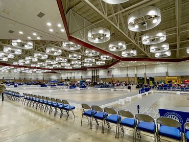 A large indoor arena with chairs and a person walking a dog.