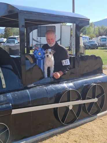 Man and dog proudly display a blue ribbon on a black train model at an outdoor event.
