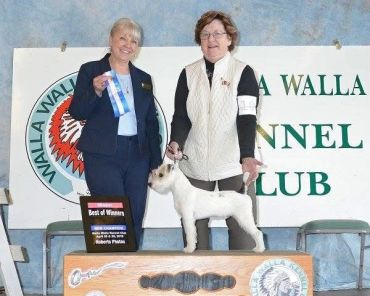 Two women present a small white dog at a dog show with awards.