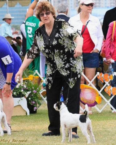 Woman in black floral shirt handles a small dog at an outdoor event.