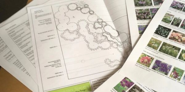 Planting plans and information pack