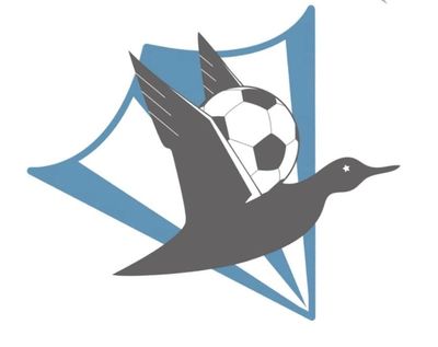 Minnesota Gray Ducks Soccer Logo